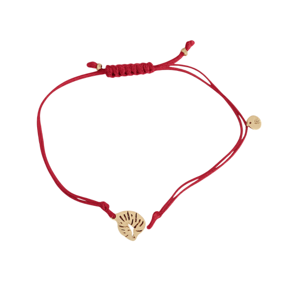 Stříbrný pozlacený náramek na červeném provázku – Monstera, Shamballa